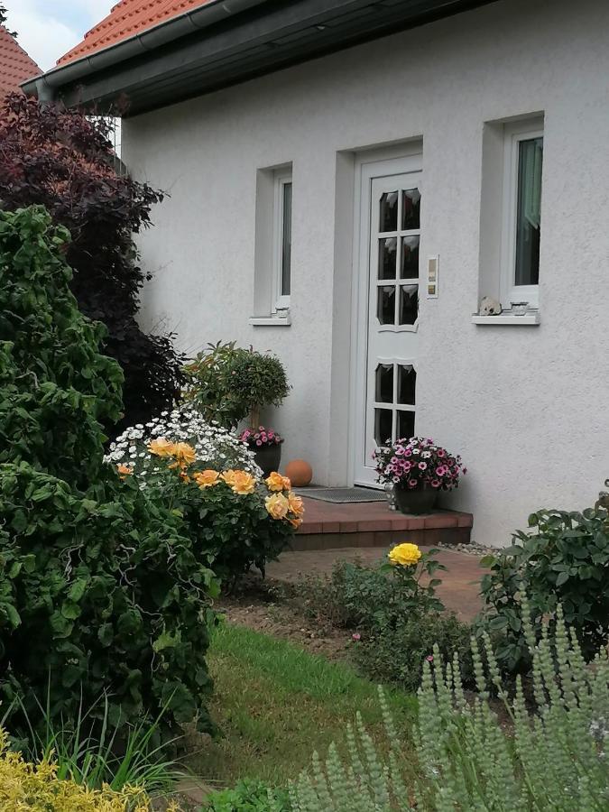 Appartement Fam. M.Lehmann Херингсдорф Екстериор снимка